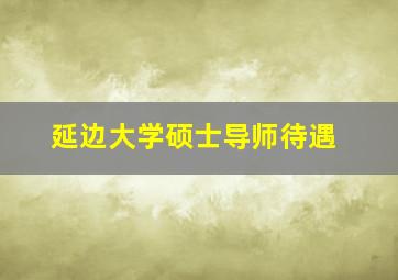 延边大学硕士导师待遇