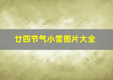 廿四节气小雪图片大全