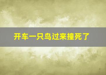 开车一只鸟过来撞死了