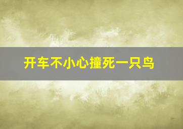 开车不小心撞死一只鸟