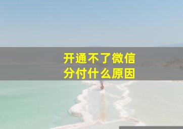 开通不了微信分付什么原因