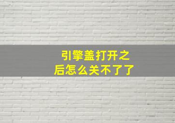 引擎盖打开之后怎么关不了了