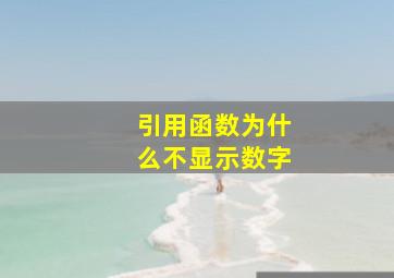 引用函数为什么不显示数字