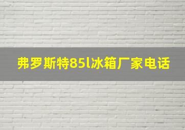 弗罗斯特85l冰箱厂家电话