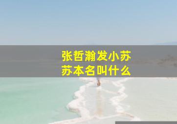 张哲瀚发小苏苏本名叫什么