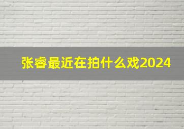 张睿最近在拍什么戏2024