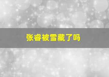 张睿被雪藏了吗