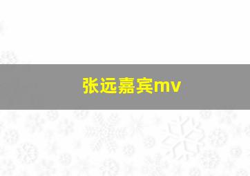 张远嘉宾mv