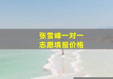 张雪峰一对一志愿填报价格