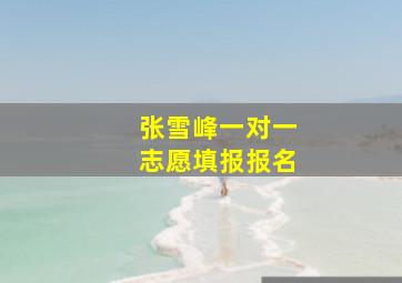 张雪峰一对一志愿填报报名