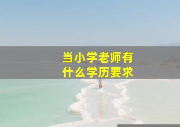 当小学老师有什么学历要求