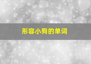 形容小狗的单词