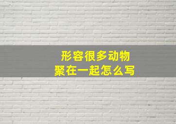 形容很多动物聚在一起怎么写