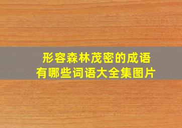 形容森林茂密的成语有哪些词语大全集图片