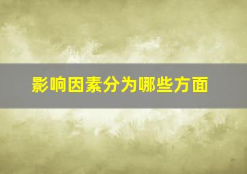 影响因素分为哪些方面