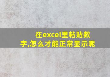 往excel里粘贴数字,怎么才能正常显示呢