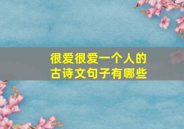 很爱很爱一个人的古诗文句子有哪些