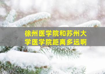 徐州医学院和苏州大学医学院距离多远啊