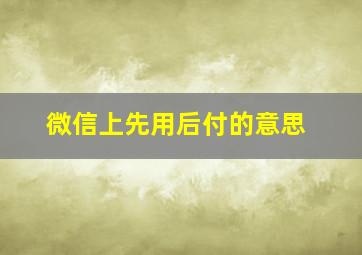 微信上先用后付的意思