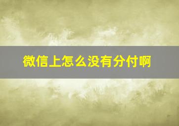 微信上怎么没有分付啊