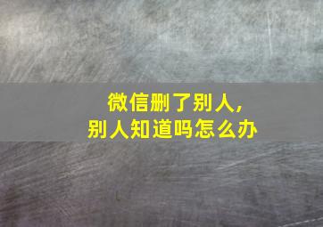 微信删了别人,别人知道吗怎么办