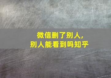 微信删了别人,别人能看到吗知乎