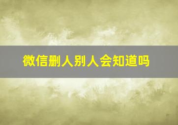 微信删人别人会知道吗