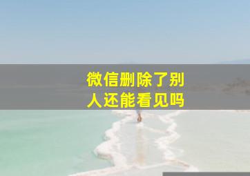 微信删除了别人还能看见吗