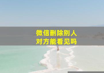 微信删除别人对方能看见吗