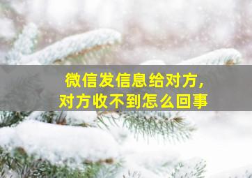 微信发信息给对方,对方收不到怎么回事