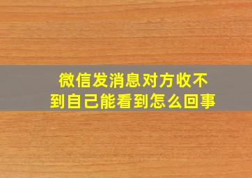 微信发消息对方收不到自己能看到怎么回事