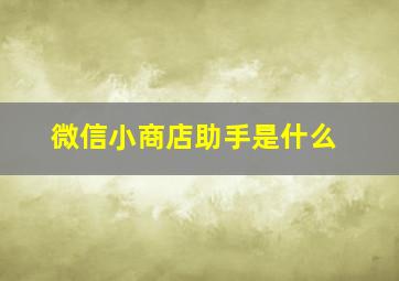 微信小商店助手是什么