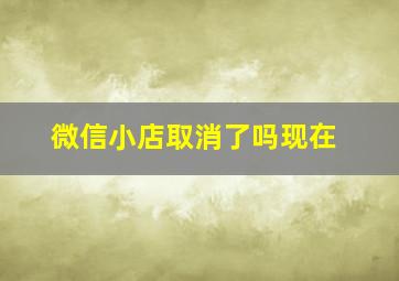 微信小店取消了吗现在