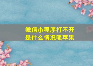 微信小程序打不开是什么情况呢苹果