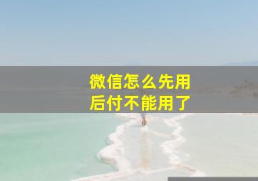 微信怎么先用后付不能用了