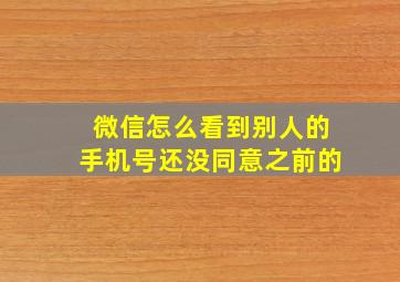 微信怎么看到别人的手机号还没同意之前的