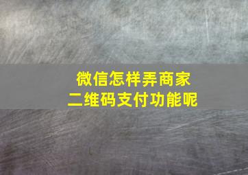 微信怎样弄商家二维码支付功能呢