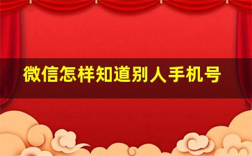 微信怎样知道别人手机号