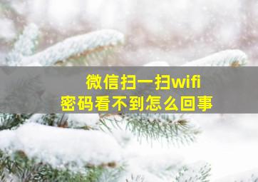 微信扫一扫wifi密码看不到怎么回事