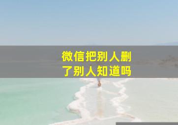 微信把别人删了别人知道吗