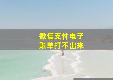 微信支付电子账单打不出来