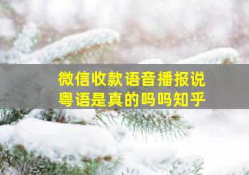 微信收款语音播报说粤语是真的吗吗知乎