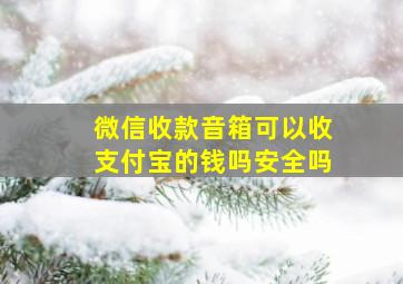 微信收款音箱可以收支付宝的钱吗安全吗