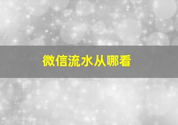 微信流水从哪看