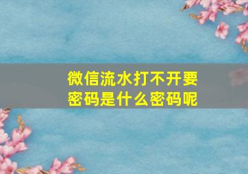 微信流水打不开要密码是什么密码呢