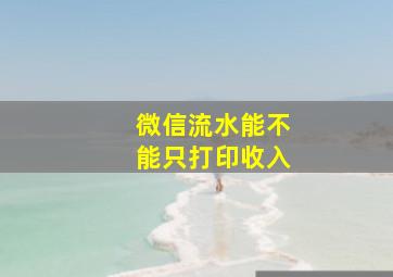 微信流水能不能只打印收入