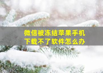 微信被冻结苹果手机下载不了软件怎么办