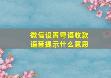 微信设置粤语收款语音提示什么意思