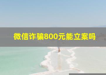 微信诈骗800元能立案吗