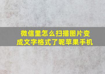 微信里怎么扫描图片变成文字格式了呢苹果手机